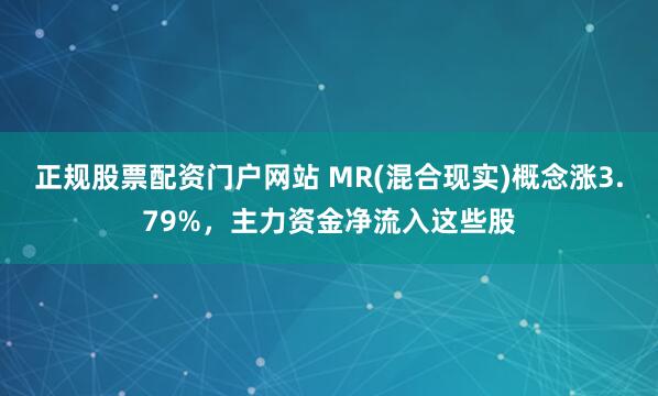 正规股票配资门户网站 MR(混合现实)概念涨3.79%，主力资金净流入这些股