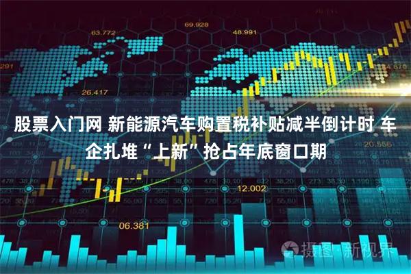 股票入门网 新能源汽车购置税补贴减半倒计时 车企扎堆“上新”抢占年底窗口期