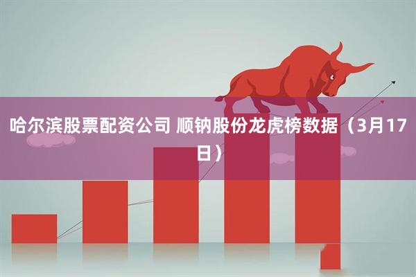 哈尔滨股票配资公司 顺钠股份龙虎榜数据（3月17日）