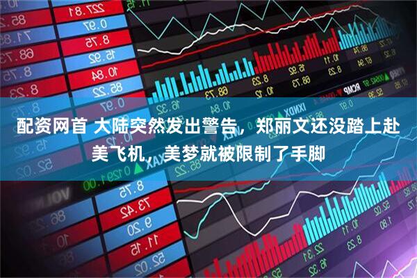 配资网首 大陆突然发出警告，郑丽文还没踏上赴美飞机，美梦就被限制了手脚